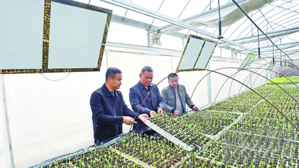 湘潭農業插上“科技翅膀” 容業科技引領產業新變革