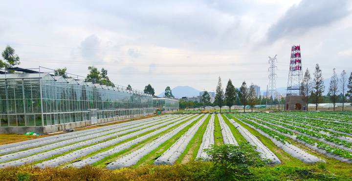 溫州“雙強行動”驅動農業提質增效 容業科技精準發力