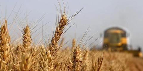 河南設立農牧漁業豐收獎 加速科技成果轉化，賦能農業現代化